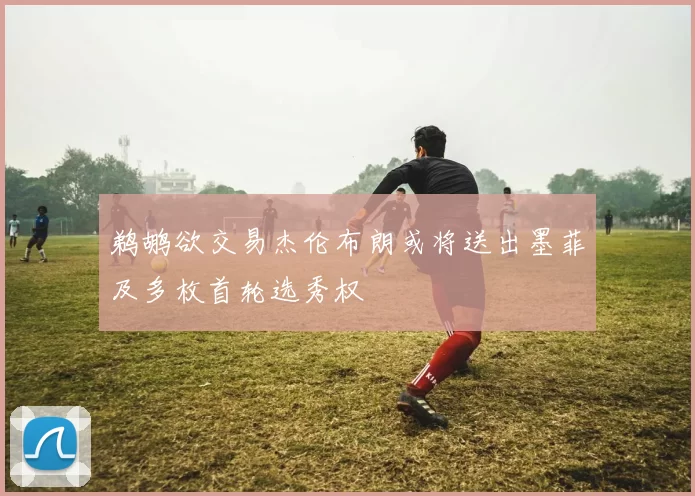 鹈鹕欲交易杰伦布朗或将送出墨菲及多枚首轮选秀权